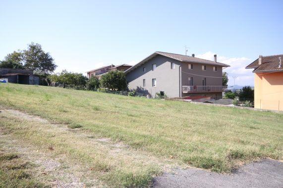 foto1 (2)