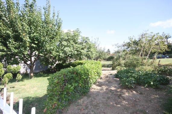foto1 (46)