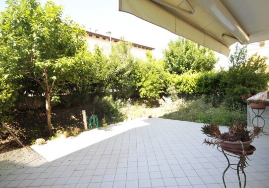 374AP Riccione Fontanelle (21)