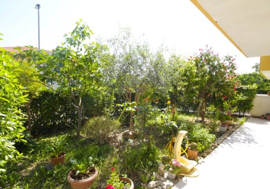 374AP Riccione Fontanelle (3)