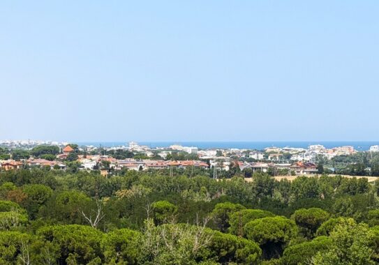 160CS Montalbano (6)